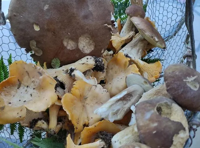 Chez Pascaline Bed & Breakfast 3*